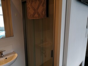 Shower, free toiletries, towels, soap - Central Studio (Auckland)