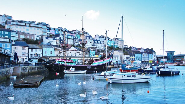 A harbor with boats, swans, and colorful buildings. - Fantastic location in the harbour bowl (Brixham)