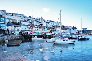 A harbor with boats, swans, and colorful buildings.