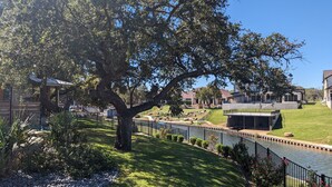 A residential area with a large tree, a swimming pool, and houses with modern architecture.