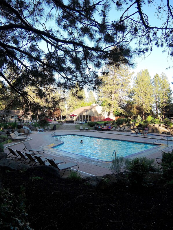 Relax by the pool surrounded by lush greenery and pine trees, with lounge chairs and umbrellas providing shade.