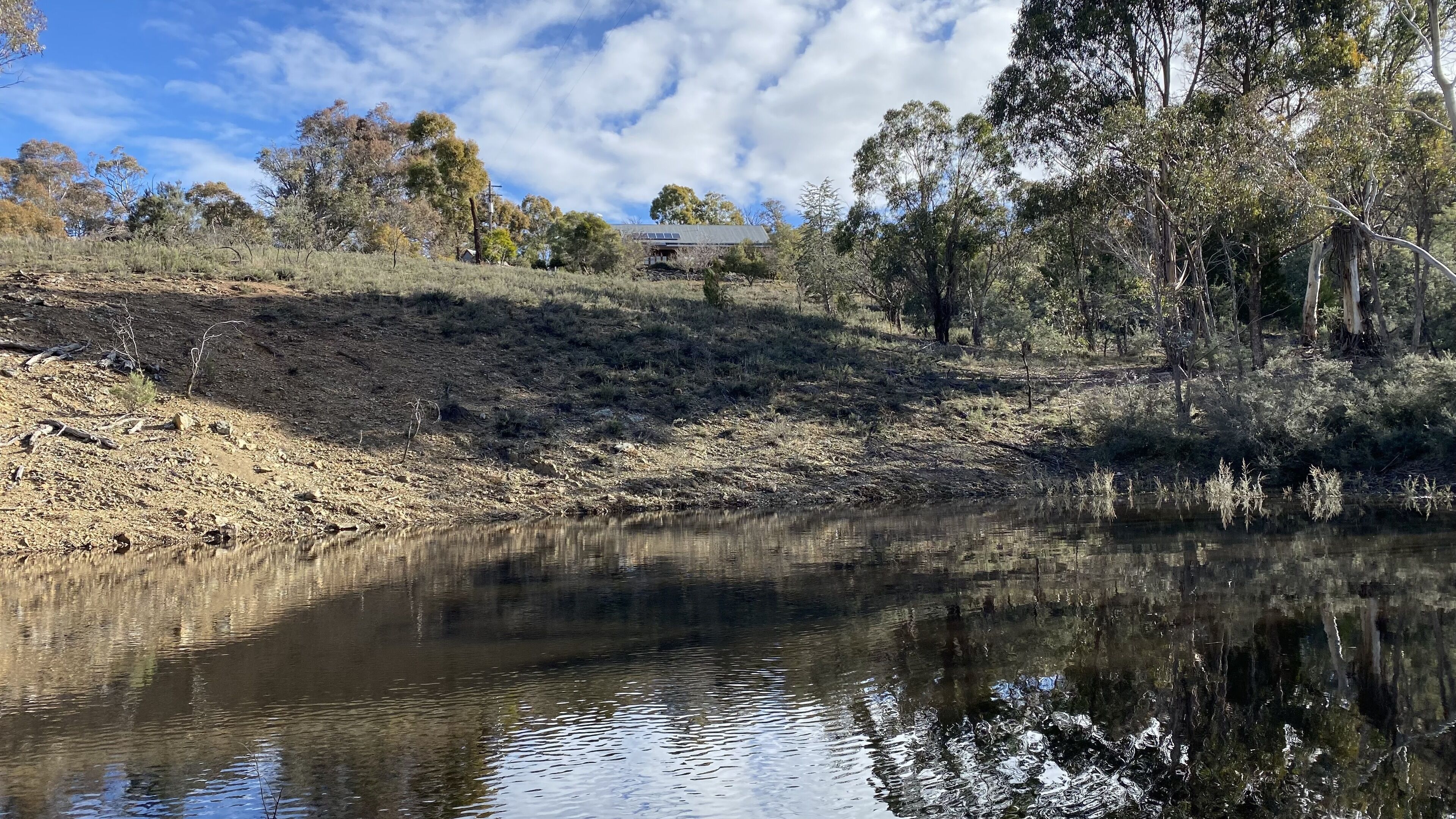 Dog Friendly Snowy Mountains Cottage on Acres — image 8