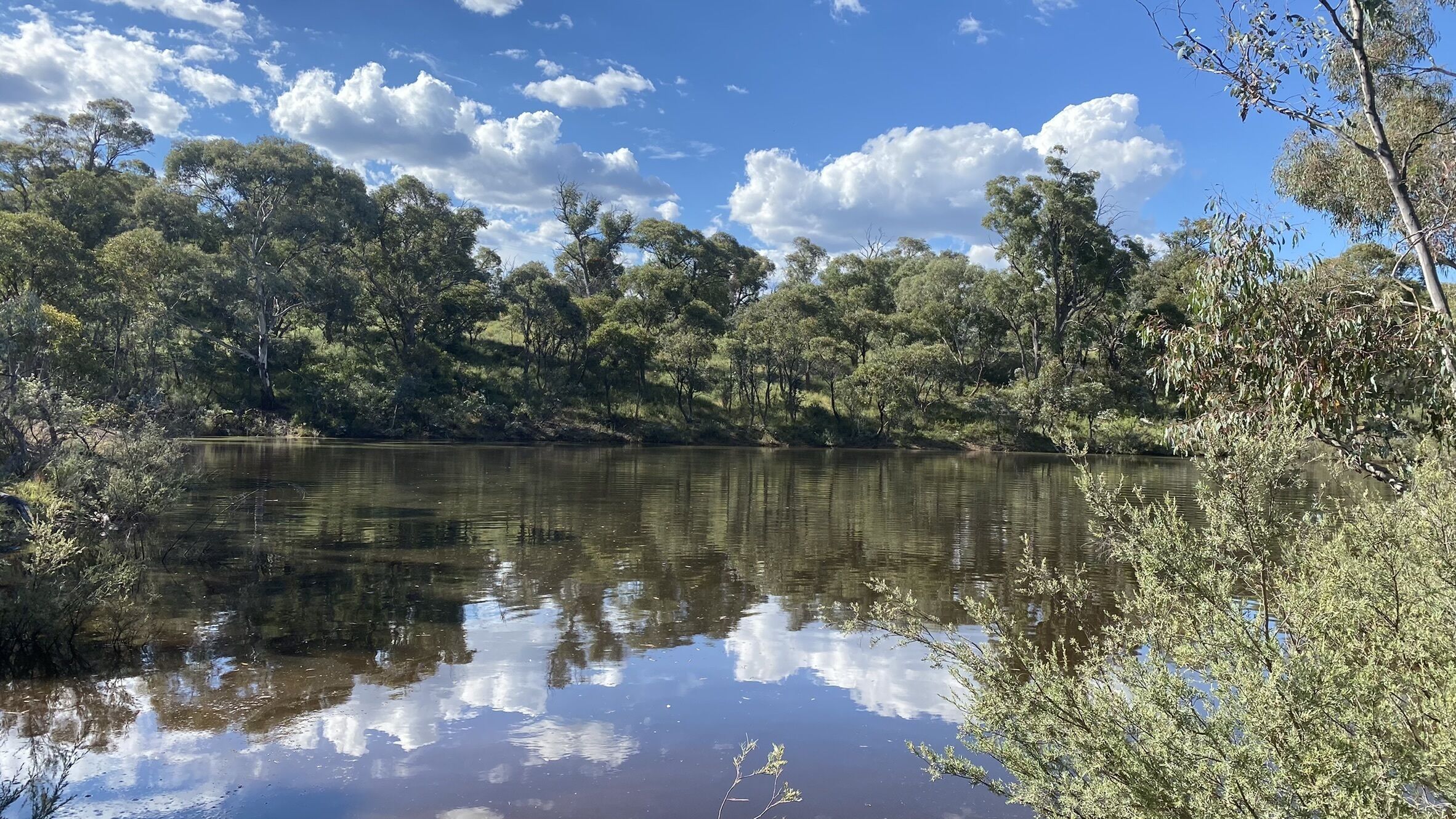 Dog Friendly Snowy Mountains Cottage on Acres — image 24