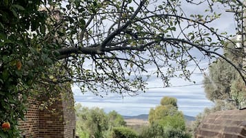 Terraço/pátio