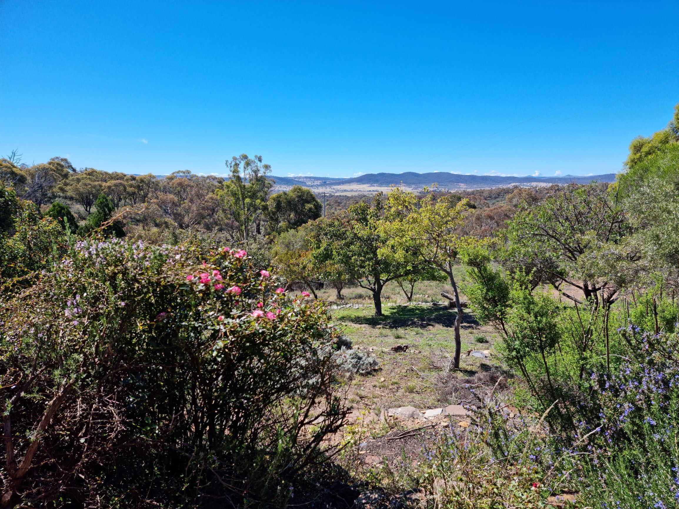 Dog Friendly Snowy Mountains Cottage on Acres — image 28