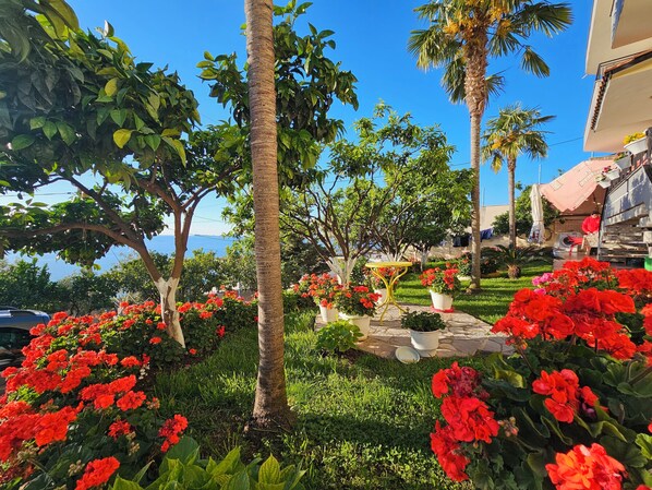 Villa | Property grounds - Villa Meminaj Vlore, Sea View and Garden, Vlore (Orikum)