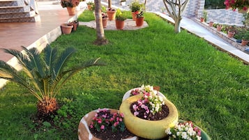 Villa | Property grounds