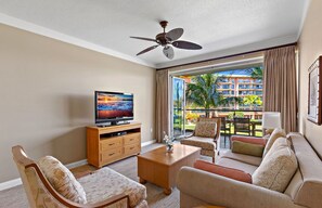 电视、DVD 播放器、立体声音响