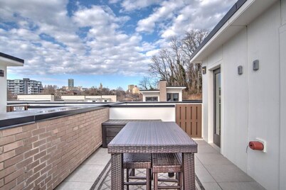 South Slope Skyhaus with Rooftop Terrace