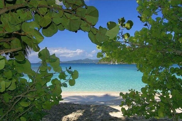 Escape to a tranquil beach surrounded by lush greenery and turquoise waters.