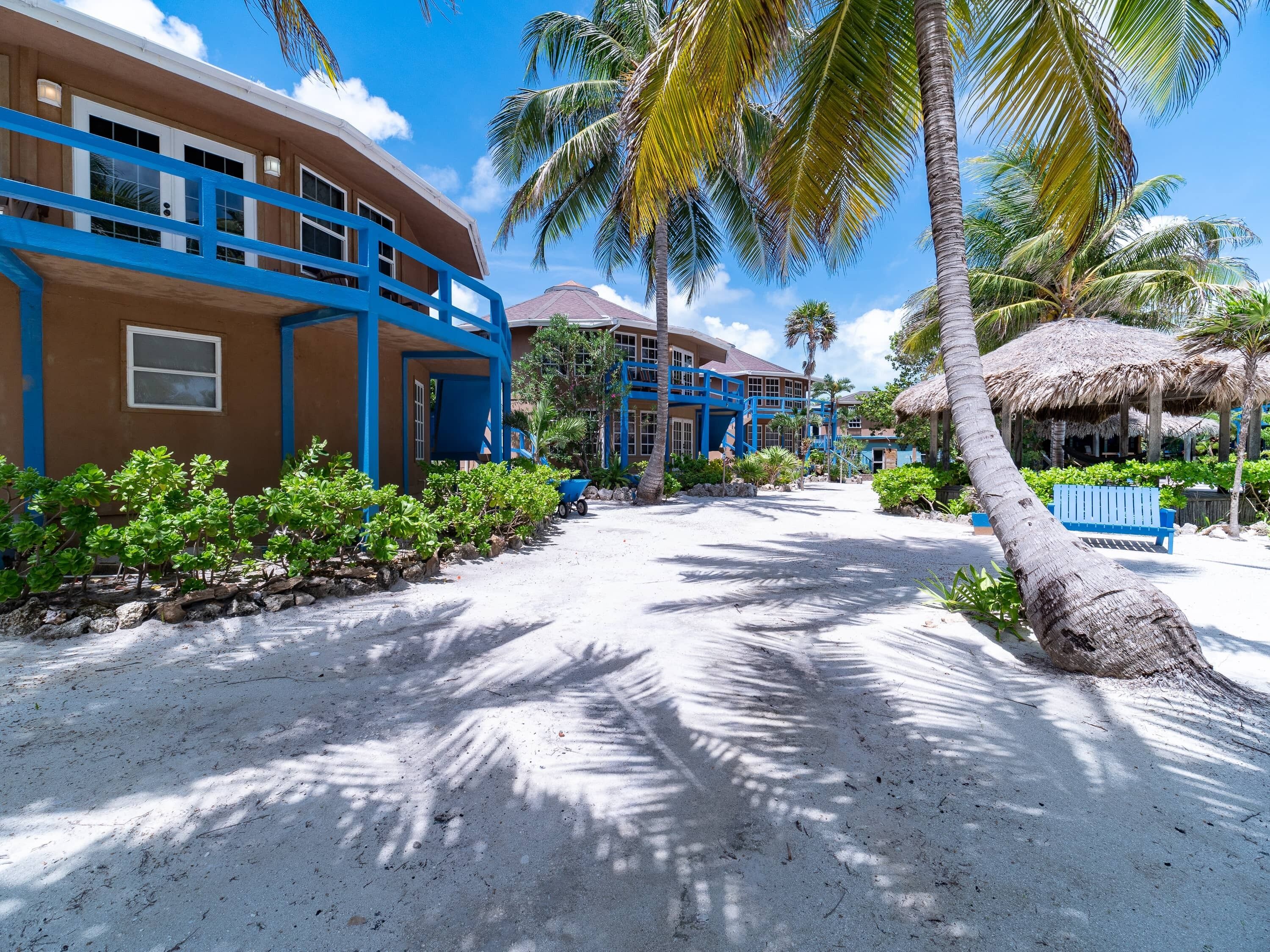 Un resort con un sendero de arena, palmeras y edificios azules.