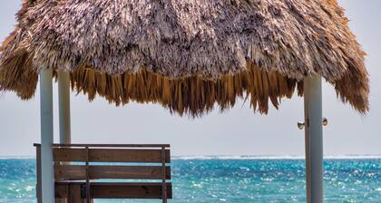 Boutique Resort in Belize Partial Ocean View Suite