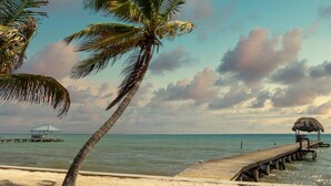 A beach with a wooden pier extending into calm waters, a thatched-roof hut, and a palm tree.