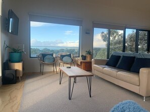 Televisio, takka, DVD-soitin, kirjoja