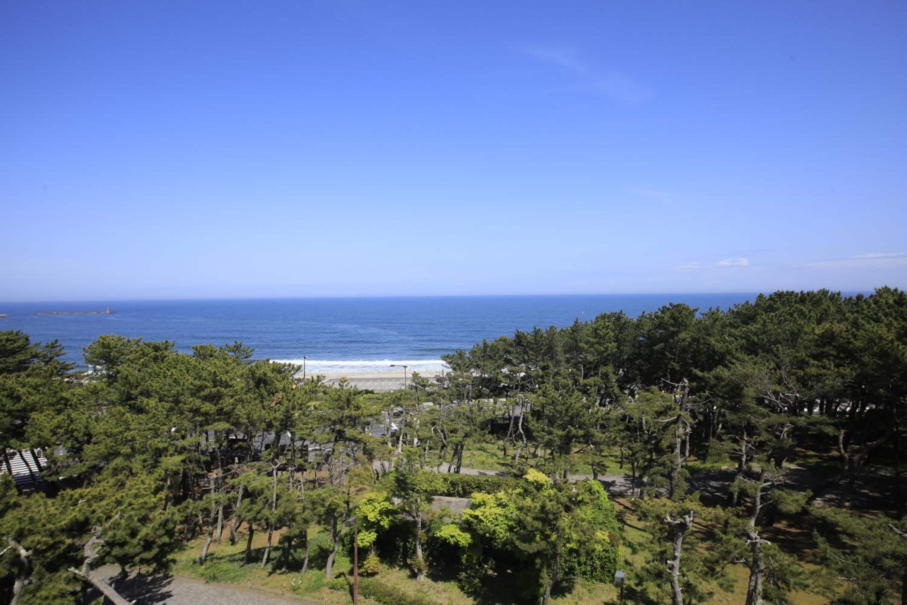 A coastal landscape with a clear view of the ocean, a beach, and dense greenery.