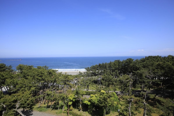 A coastal landscape with a clear view of the ocean, a beach, and dense greenery.