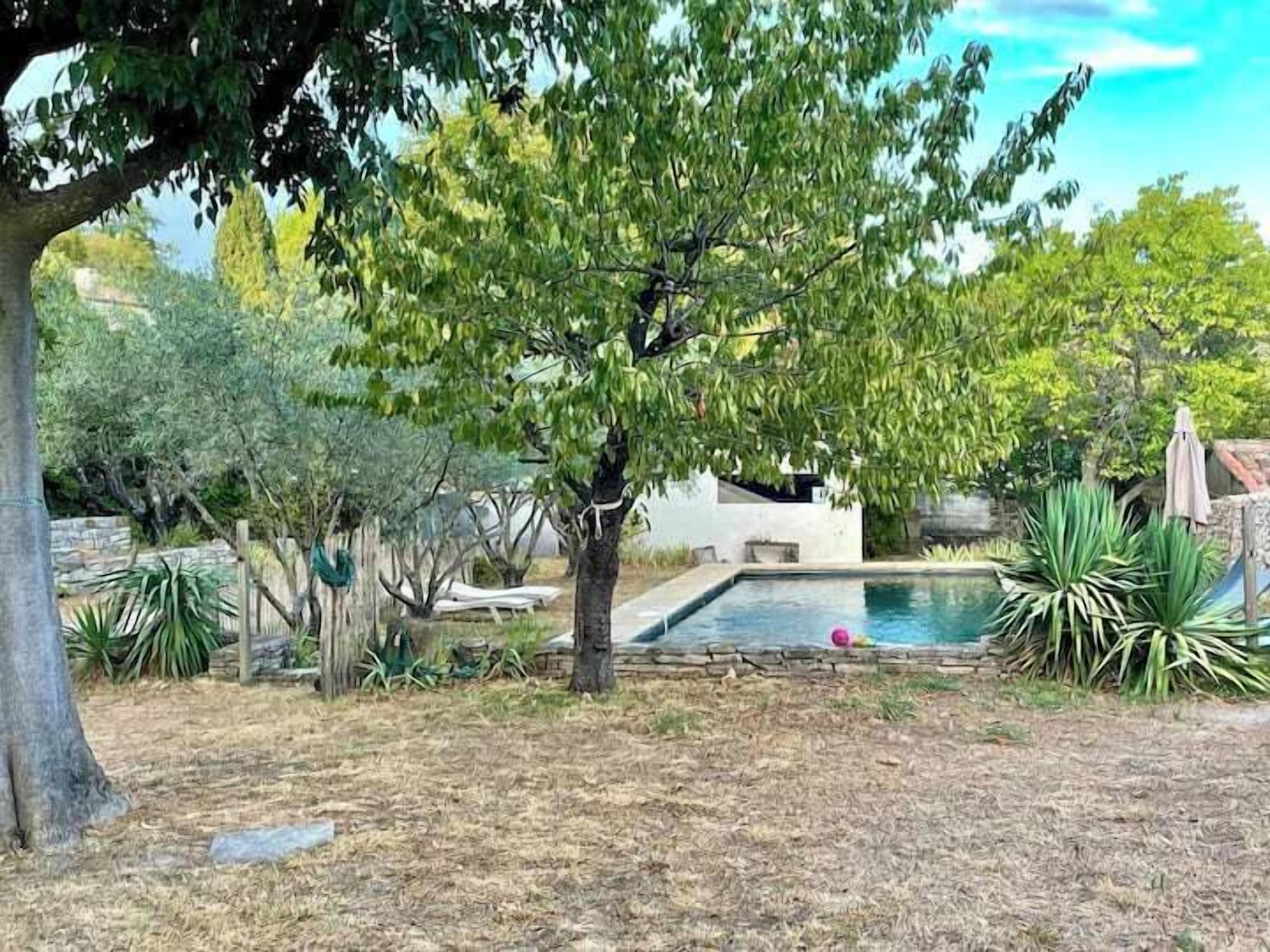 Un patio trasero con piscina, rodeado de diversos árboles y plantas.