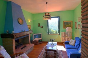 تلفزيون، مدفأة