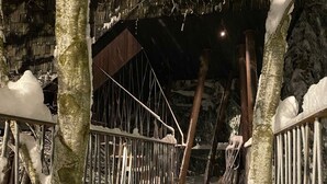 A metal staircase with snow accumulation, surrounded by trees and a dark background. - Adventure tree house, Baldauf family - Tree house (Sulzberg)