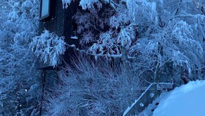 A building with snow-covered trees and a staircase leading up to it. - Adventure tree house, Baldauf family - Tree house (Sulzberg)