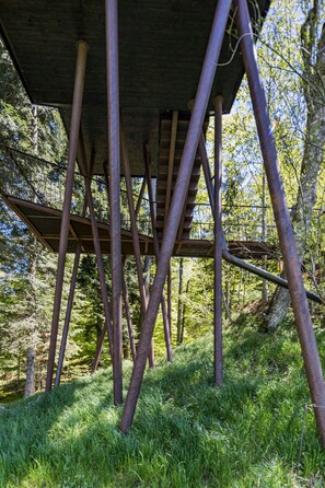 A wooden structure with a staircase, surrounded by trees.