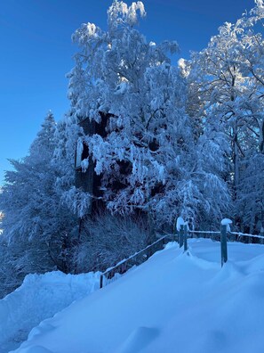 Property grounds - Adventure tree house, Baldauf family - Tree house (Sulzberg)