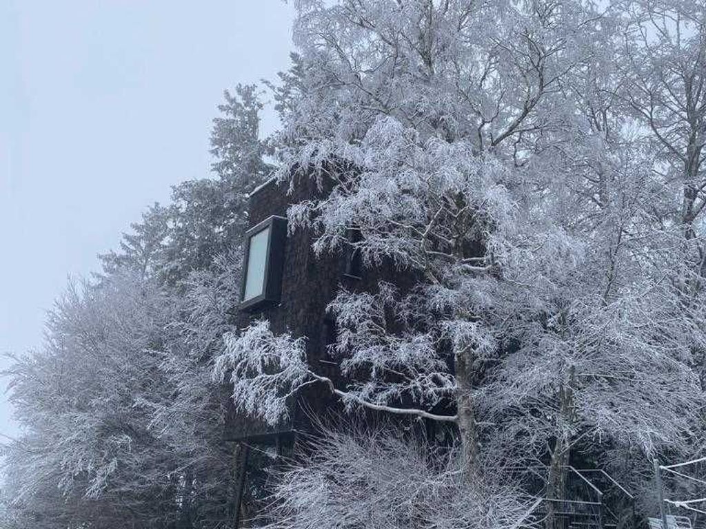 A building with a window and a tree in the foreground.