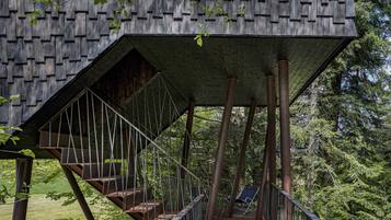 A wooden structure with a staircase and a chair.