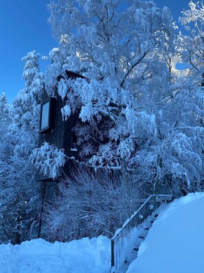 A building with snow-covered trees and a staircase leading up to it.