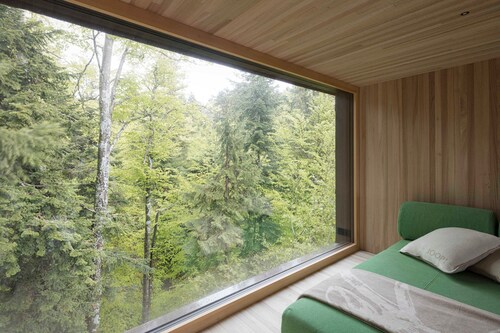 Adventure tree house, Baldauf family - Tree house