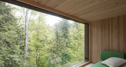 Adventure tree house, Baldauf family - Tree house