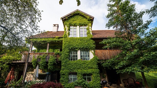 Una casa con muros cubiertos de hiedra y un porche de madera.