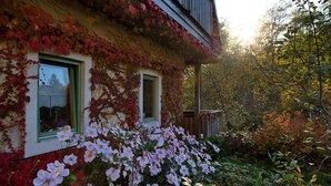 Una casa con paredes cubiertas de hiedra y un jardín con flores rosas.