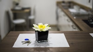 A small black vase with a white flower on a table in a room. - Guesthouse Urša (Preddvor)