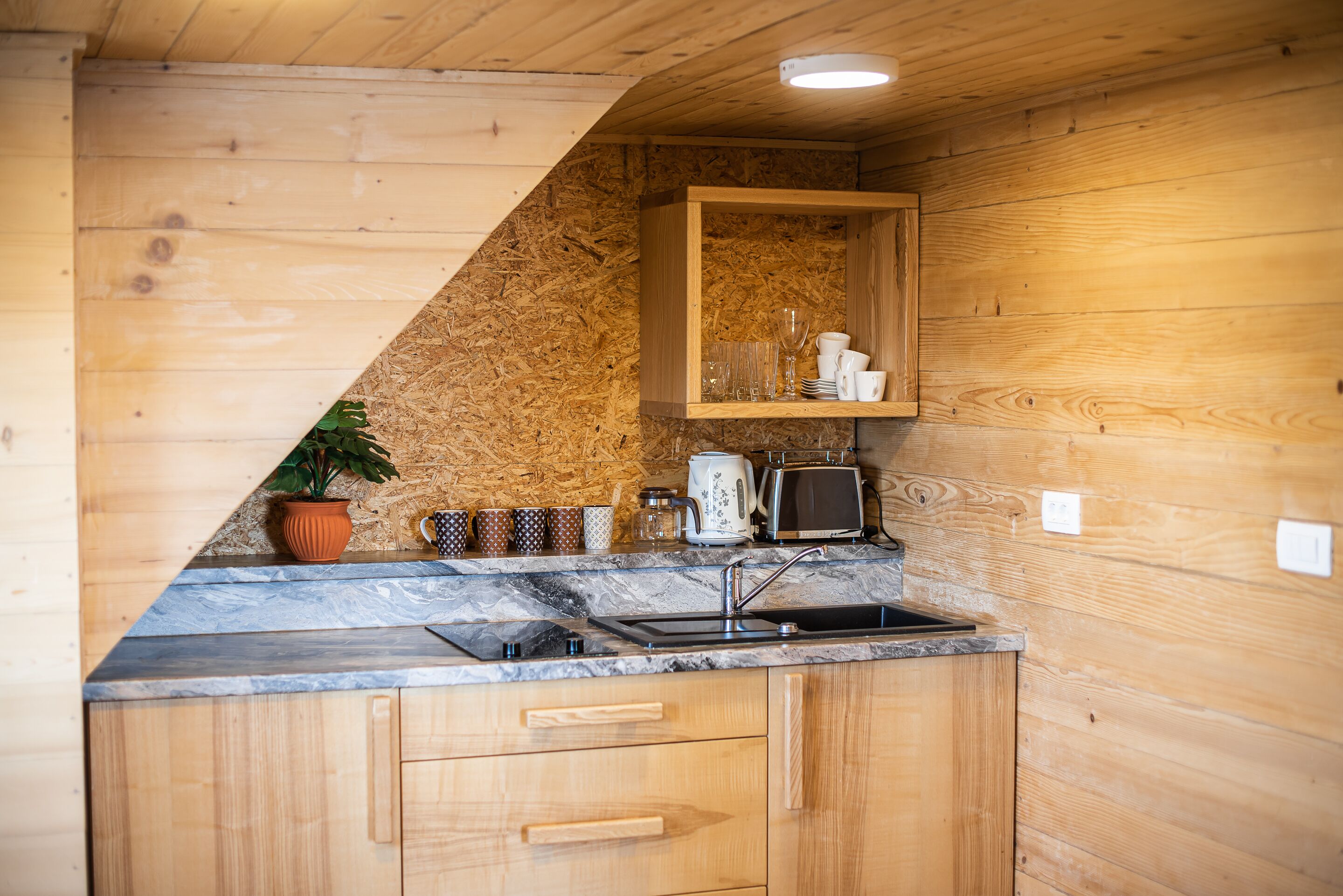 Apartment (One bedroom Apartment) | Private kitchen | Fridge