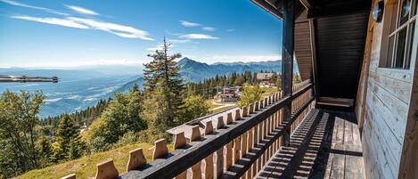 Apartment (One bedroom Apartment) | Balkon