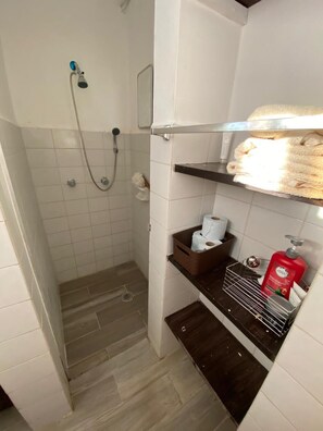 Shower, hair dryer, towels