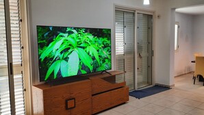 Ein Wohnzimmer mit Flachbildfernseher auf einem Holzboden, einer Essecke mit Tisch und Stühlen sowie einer Schiebetür zu einem Abstellraum.