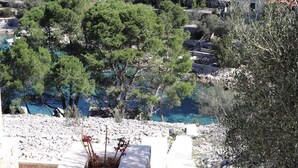 A coastal area with stone steps leading to a beach, surrounded by trees and residential buildings. - Stone House Horizont (Vela Luka)
