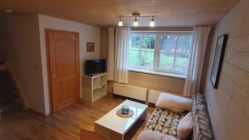 TV, DVD player, books, music library