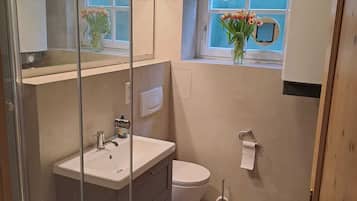 Dusche, Haartrockner, Seife, Toilettenpapier