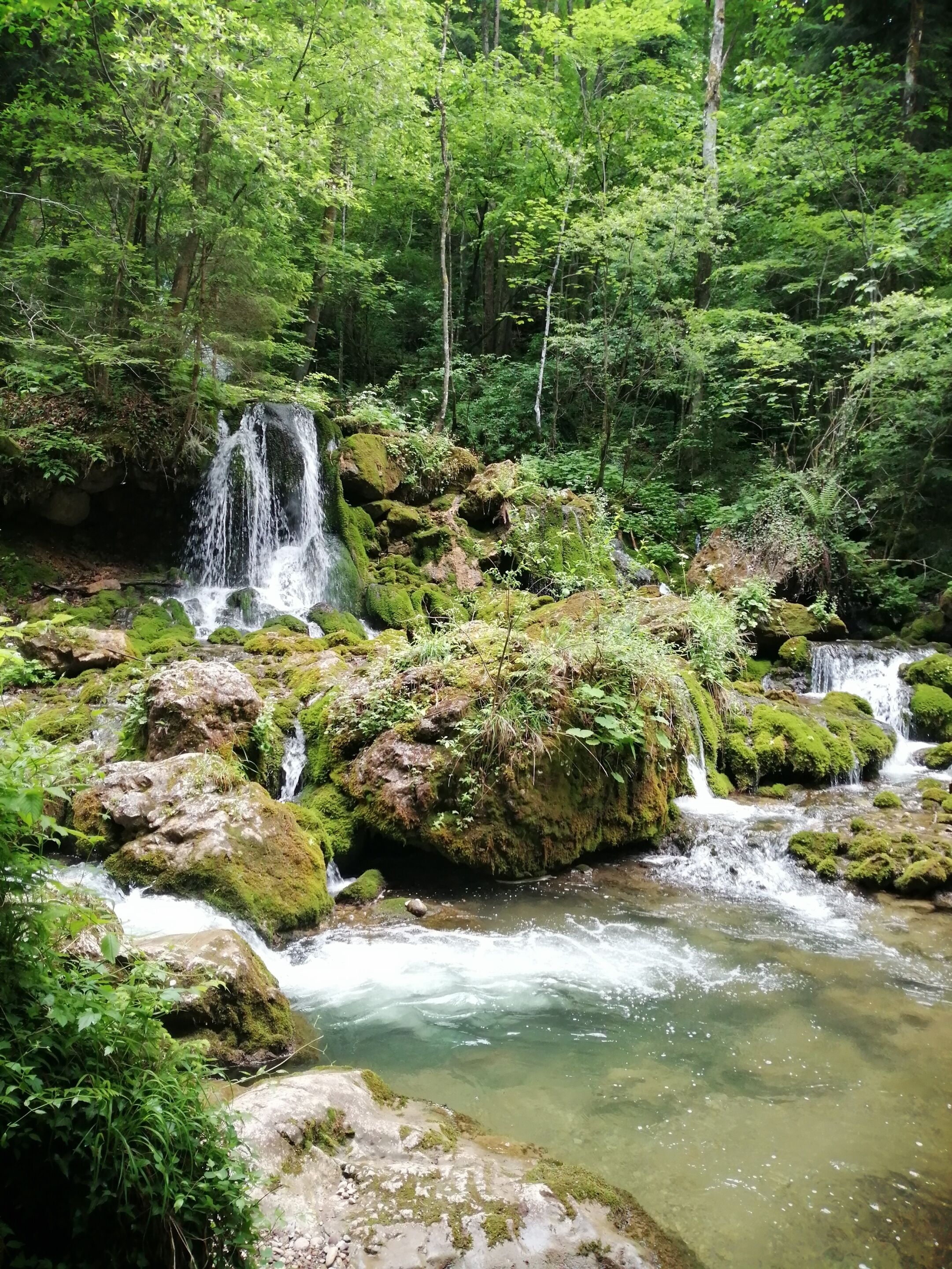 A natural landscape with a waterfall, clear water, and surrounding greenery.