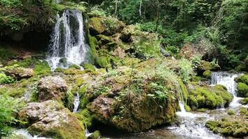 A natural landscape with a waterfall, clear water, and surrounding greenery.