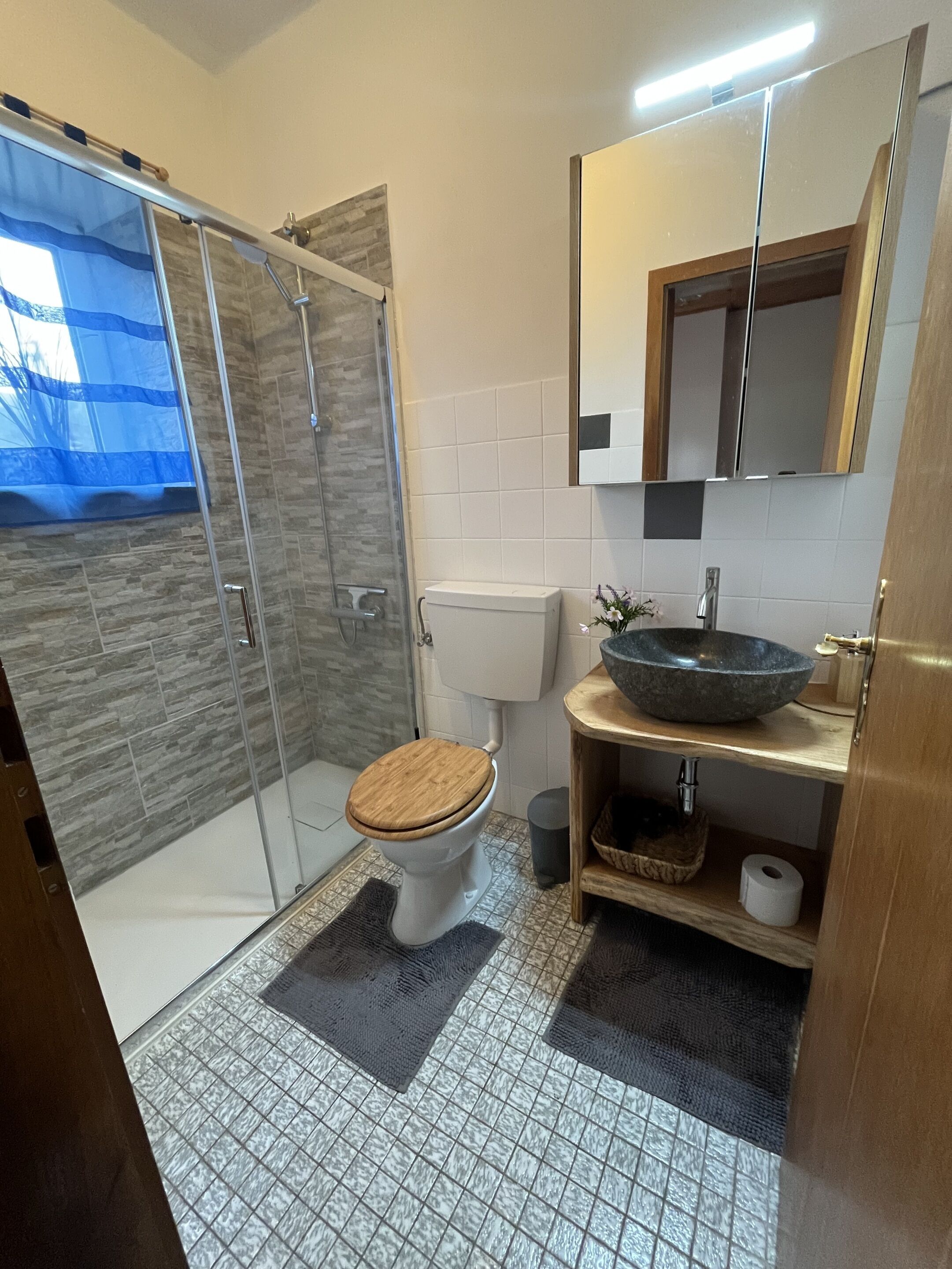 Un baño con ducha de mampara de vidrio, inodoro con asiento de madera, lavabo con recipiente grande y espejo sobre el lavabo.