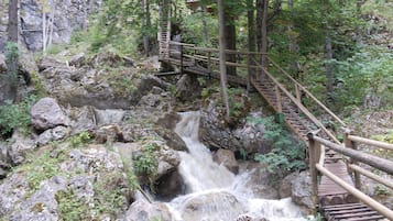 Classic Studio, Accessible, Private Bathroom | Point of interest