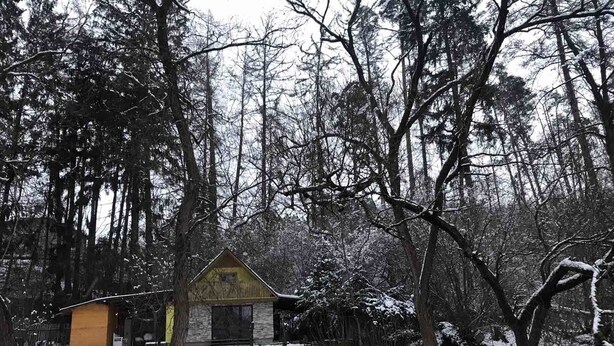 A cabin with a small porch and a window, surrounded by snow-covered trees and a frozen pond. - Sazava River Cottage With Boating Experience (Týnec nad Sázavou)