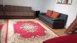 A living room with a large red and beige patterned rug, a brown striped sofa, and a grey sofa with orange cushions. - Sazava River Cottage With Boating Experience (Týnec nad Sázavou)