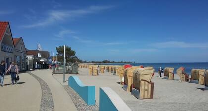 Cozy chalet for 2 adults & 2 children right next to the forest & only 750 to the beach