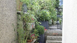 Une ruelle étroite bordée de plantes en pot et agrémentée d’un petit espace jardin.