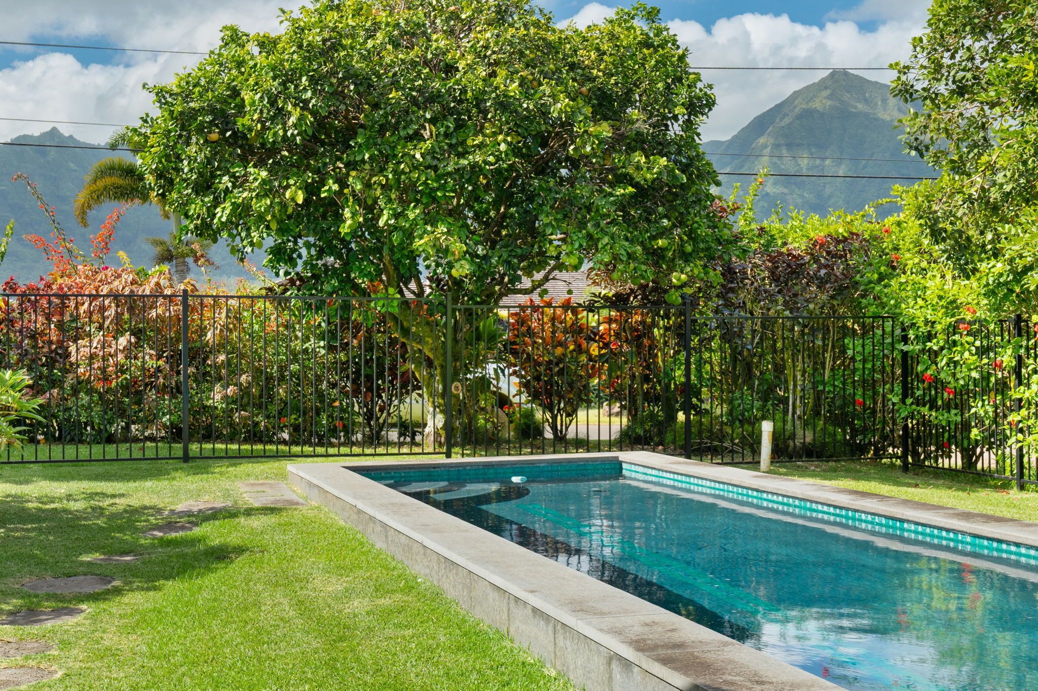Una piscina rodeada de exuberante vegetación y una montaña al fondo.